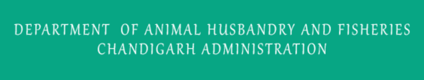 Veterinary Inspector recruitment 2023 1 Veterinary Inspector recruitment 2023