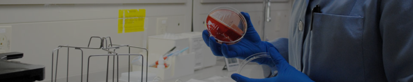 Scientist Jobs | Indian Council of medical research New Delhi Recruitment 2024 4 Scientist Jobs
